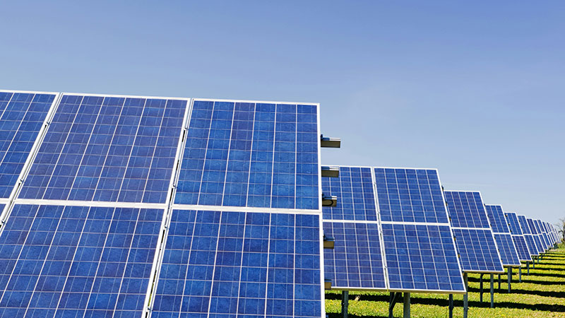 Solar panels in a row in a field