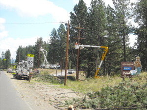 A crew removing a tree next to a power line